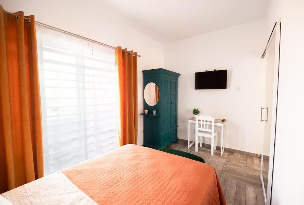 New Apt Super Cozy & Pet Friendly Close To Marina #3 La Paz Kültér fotó